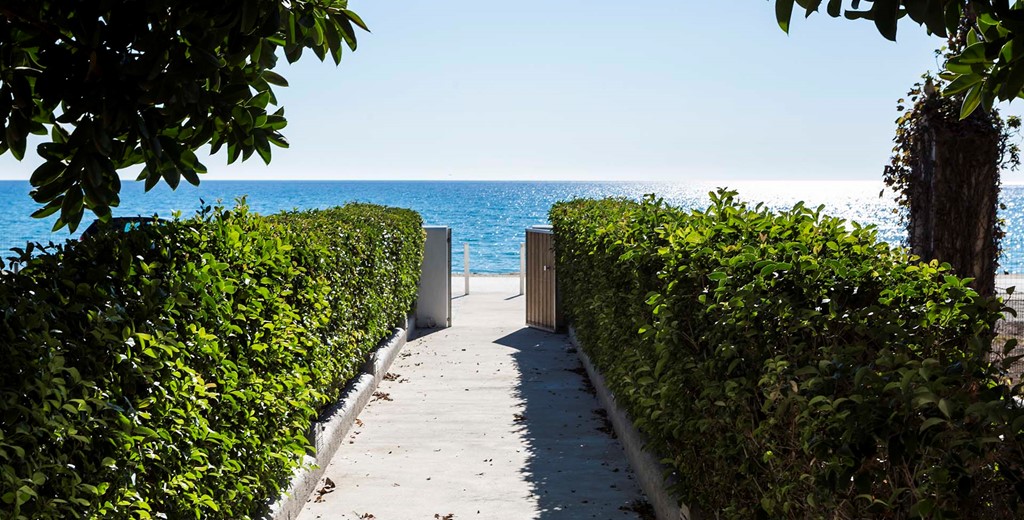 A short garden path from teh Beachfront Suites straight into the mediteranean sea at Lourdata, Kefalonia